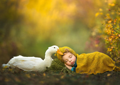 Alpaca Knitwear: for Rest and to Cherish