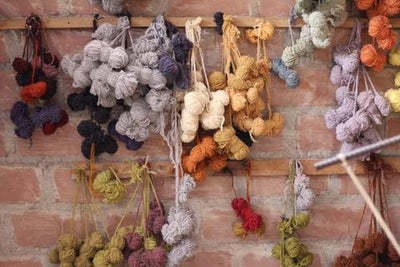 The timeless art of Peruvian plant-dyeing