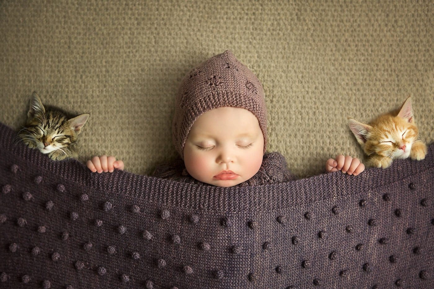 Bobble Blanket Collection